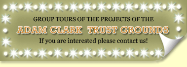 group tours