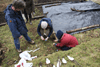 making leaf compost