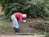 making leaf compost