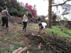 making leaf compost