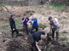 making leaf compost