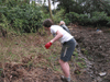 making leaf compost