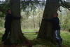 ancienttrees