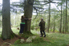 ancienttrees