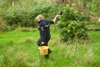 biodynamics/10