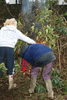 making leaf compost