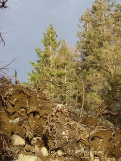 Conservation