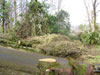 Click to enlarge Storm