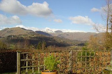 view from the garden
